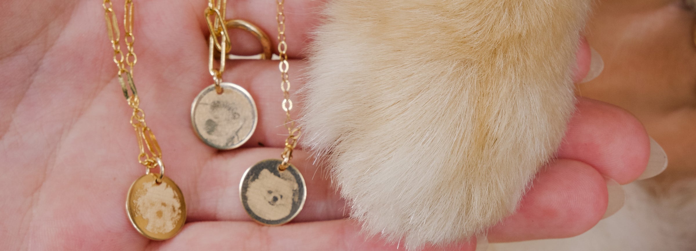 PETS! Collection