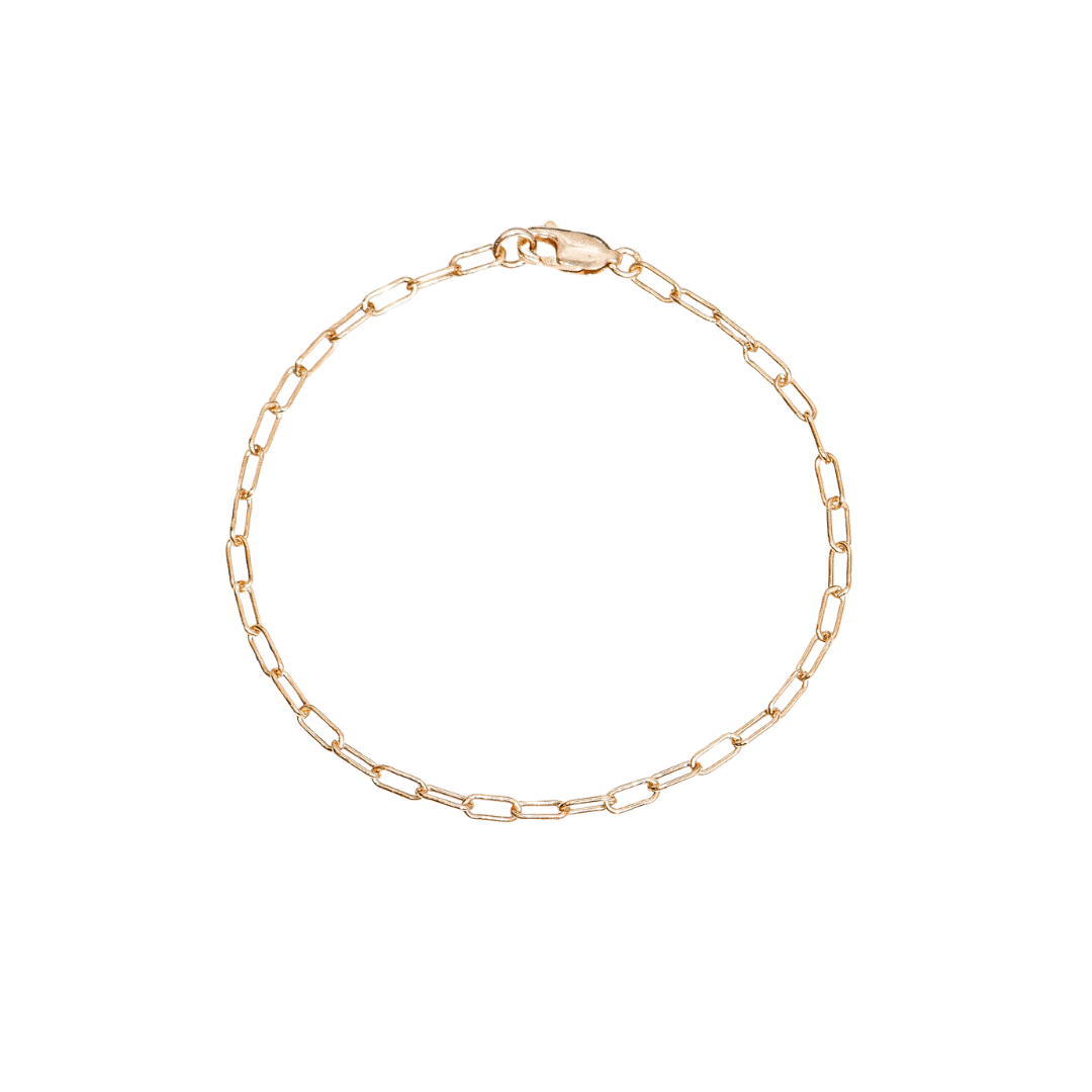 14K Gold Fill Clip Chain